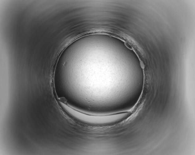 X0000096970985200802221359