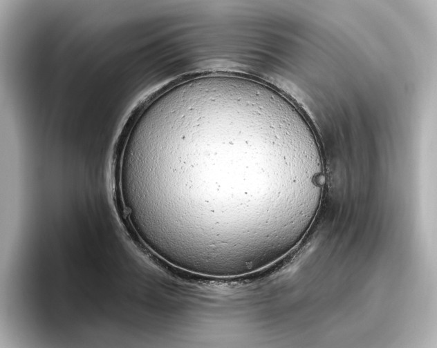 X0000096970987200802221359