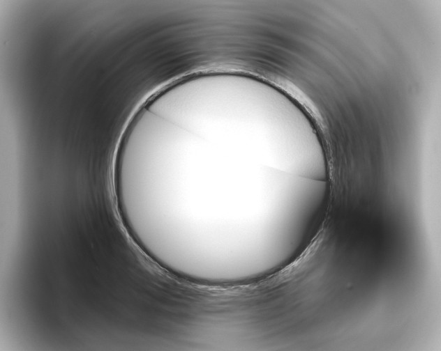 X0000096970988200802221359