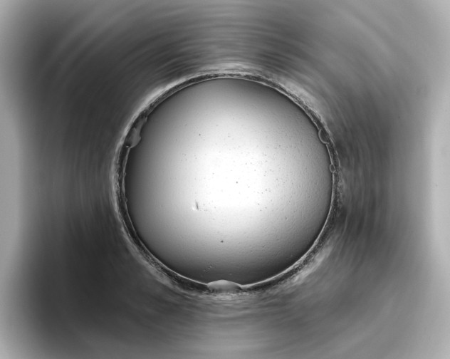 X0000096970989200802221358