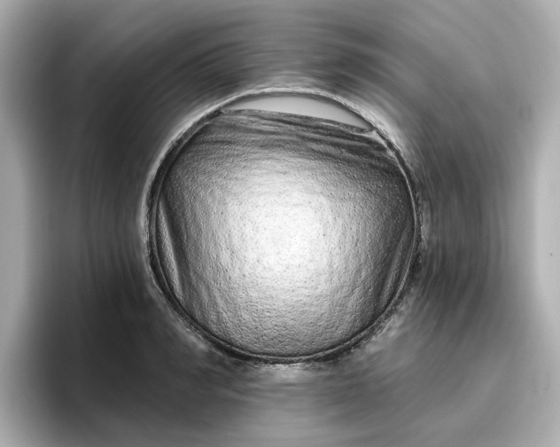 X0000096970990200802221358