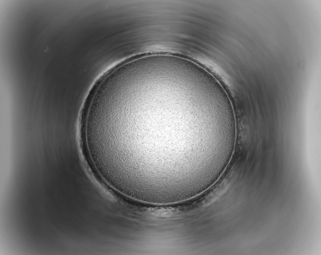 X0000096970991200802221358