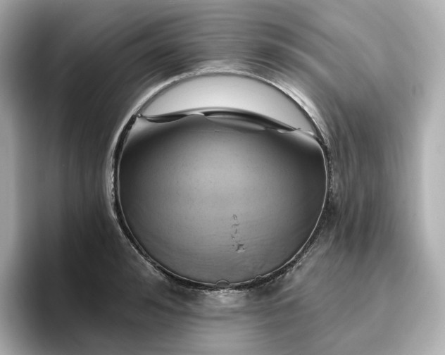 X0000096970992200802221358