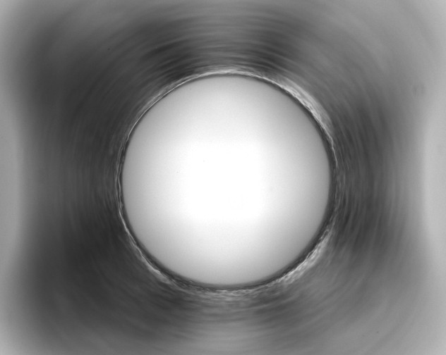 X0000096970993200802221358