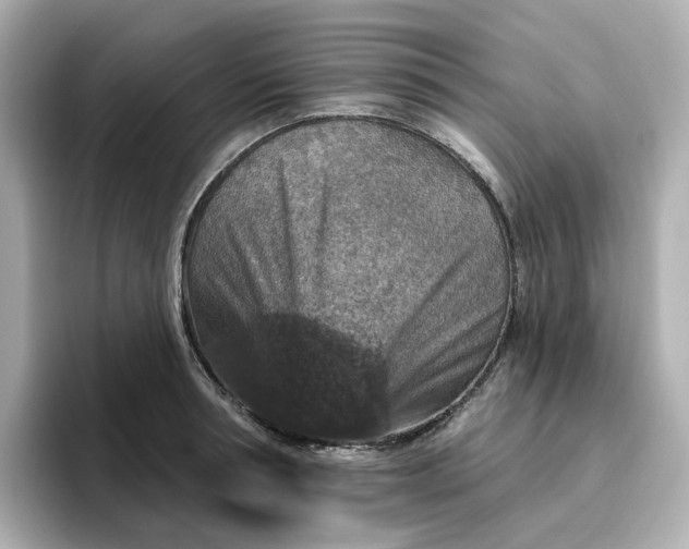 X0000096970994200802221358