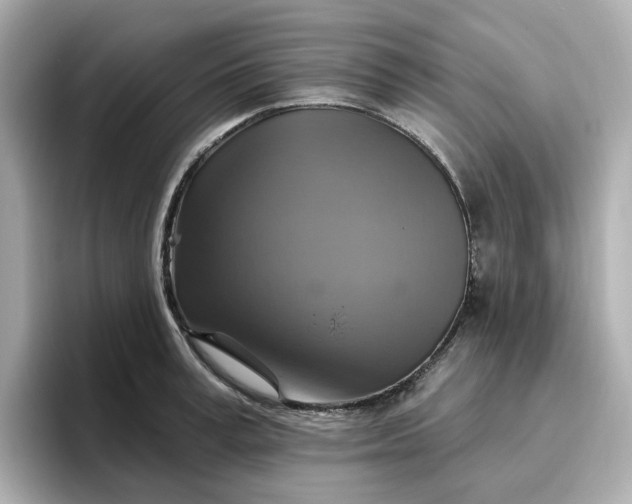 X0000096970995200802221358