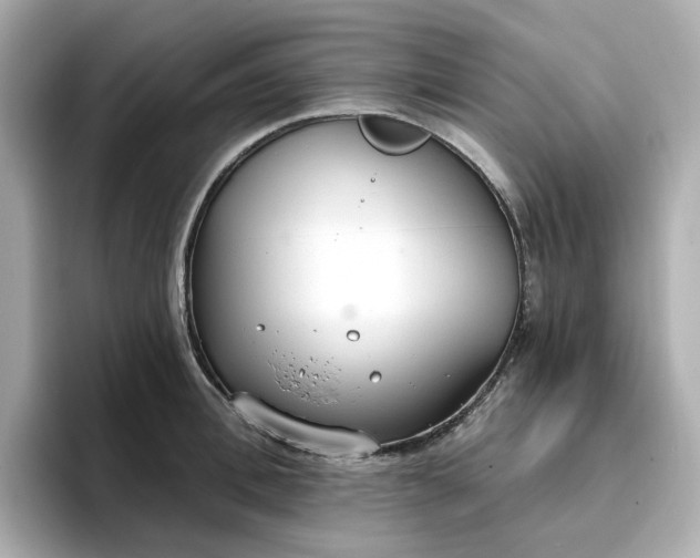 X0000096970996200802221358