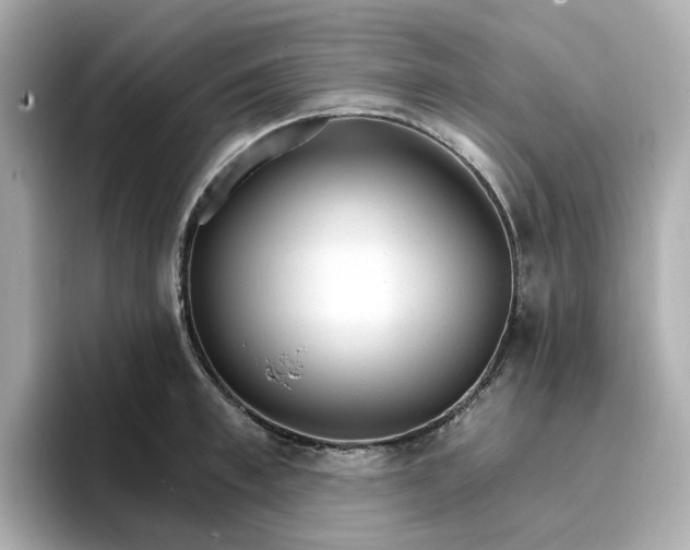 X0000096970997200802221358