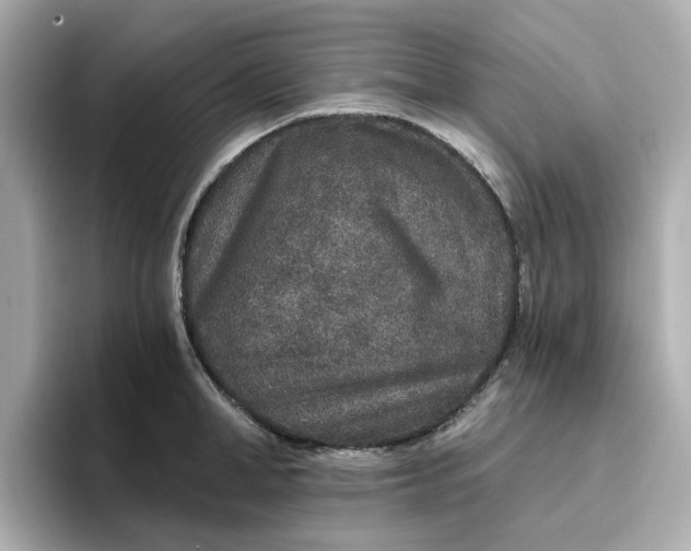 X0000096970998200802221358