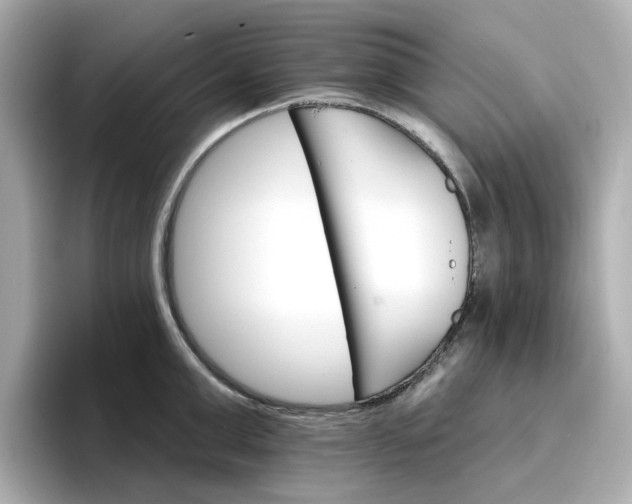 X0000096970999200802221358