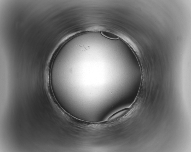 X0000096971000200802221358