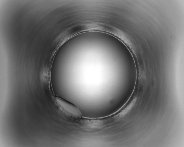 X0000096971001200802221358