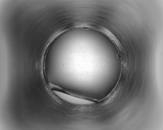 X0000096971002200802221358