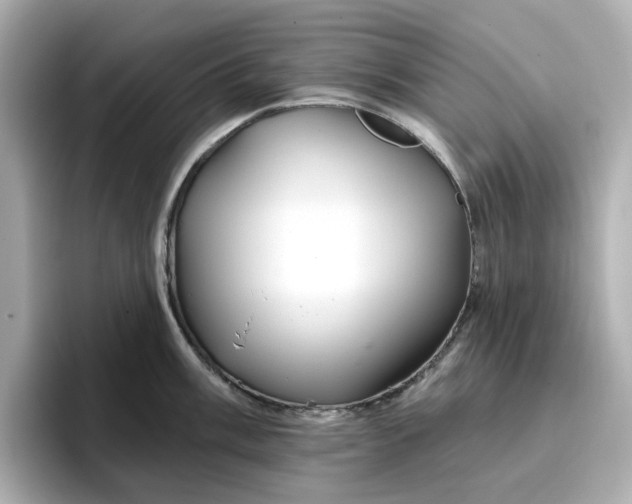 X0000096971003200802221358