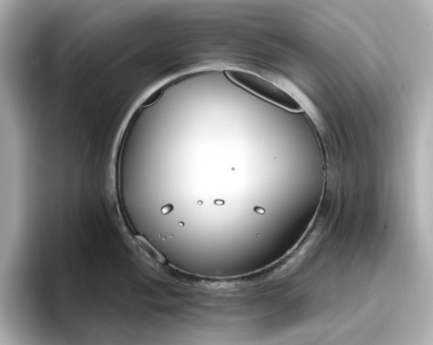 X0000096971004200802221358