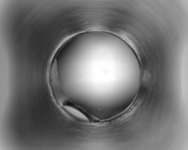 X0000096971005200802221358