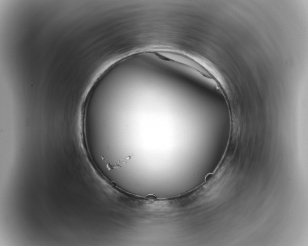 X0000096971006200802221358