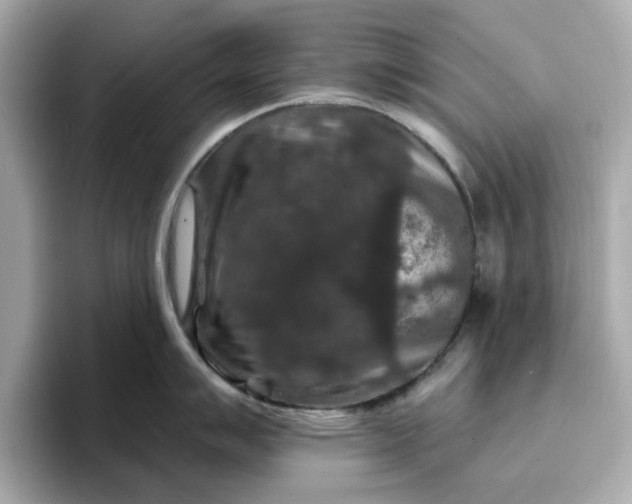 X0000096971007200802221358