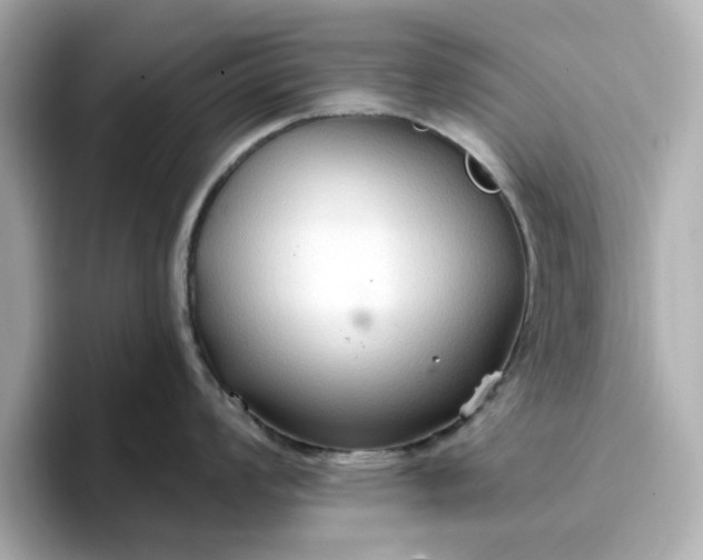 X0000096971008200802221358