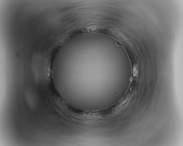 X0000096971011200802221358