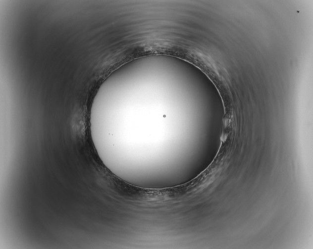 X0000096971012200802221358