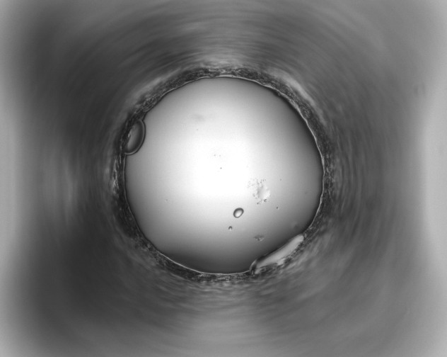 X0000096971016200802221358