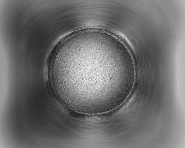 X0000096971019200802221358