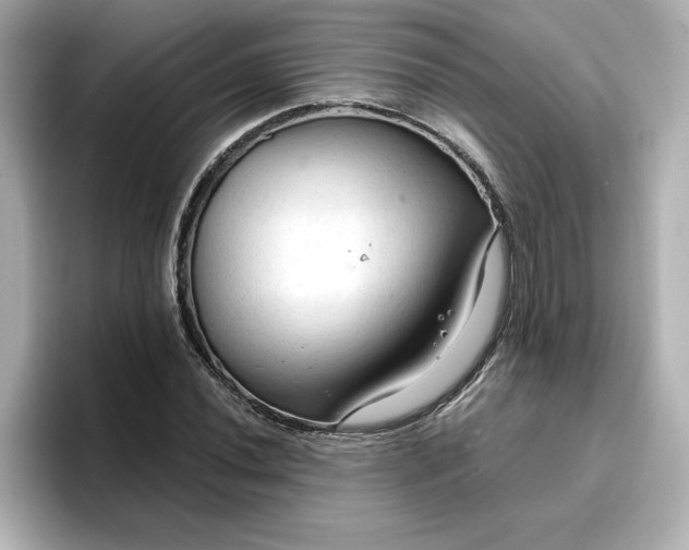 X0000096971020200802221358