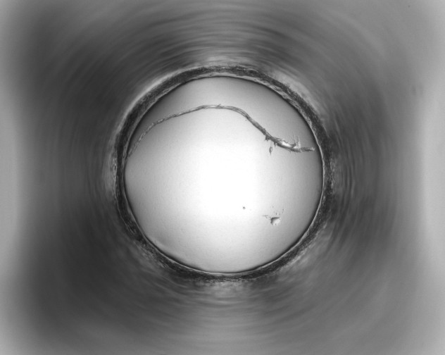 X0000096971021200802221358