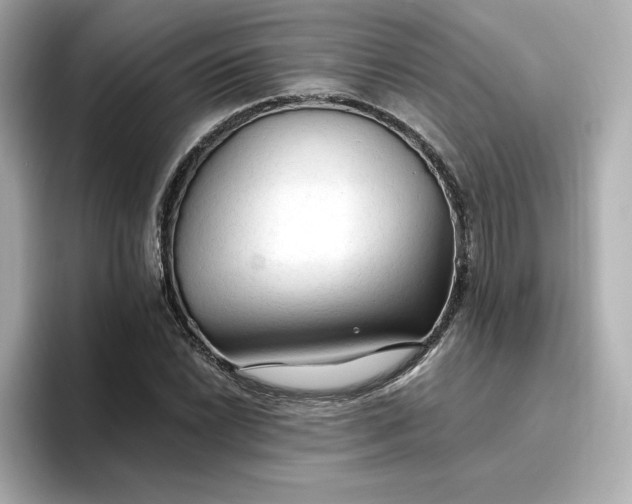 X0000096971022200802221358