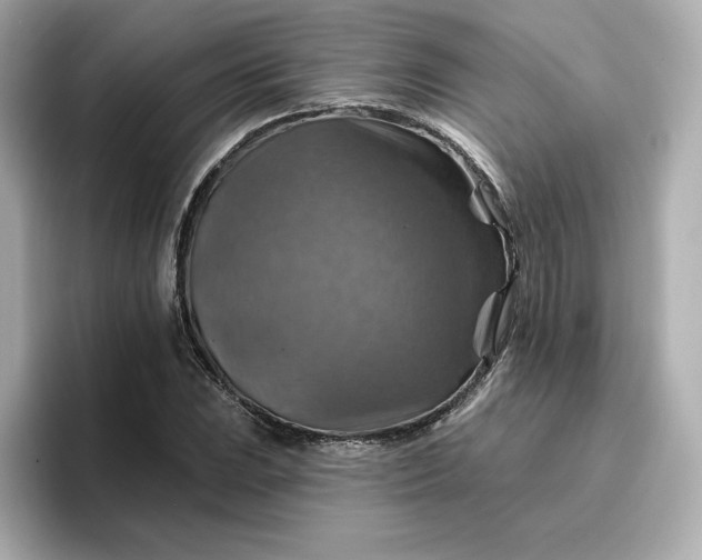 X0000096971023200802221358