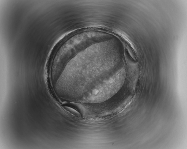 X0000096971024200802221358