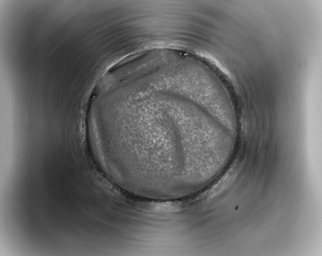 X0000096971025200802221358