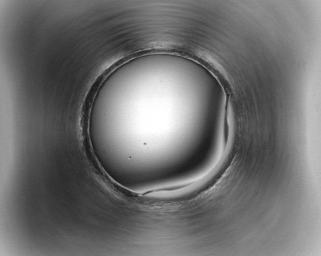 X0000096971026200802221358