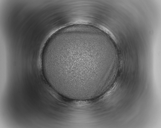 X0000096971027200802221358