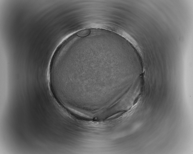 X0000096971028200802221358