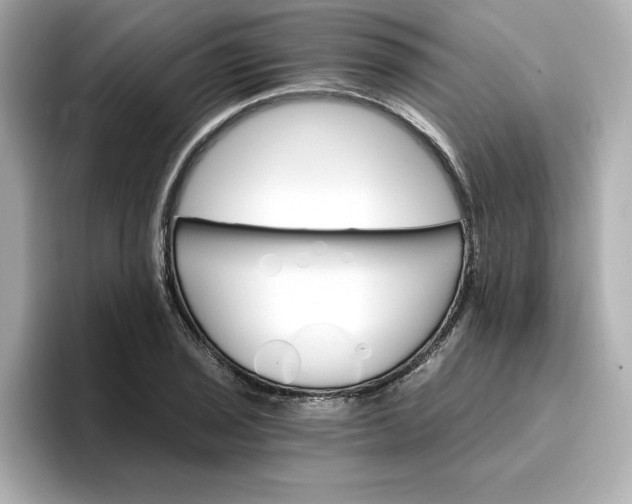 X0000096971029200802221358