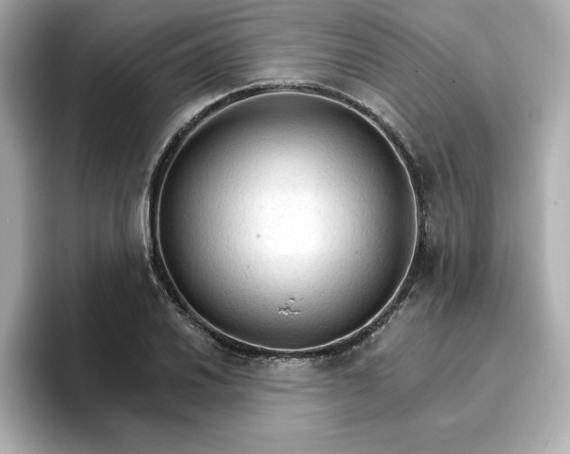 X0000096971030200802221358