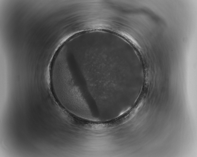 X0000096971031200802221358