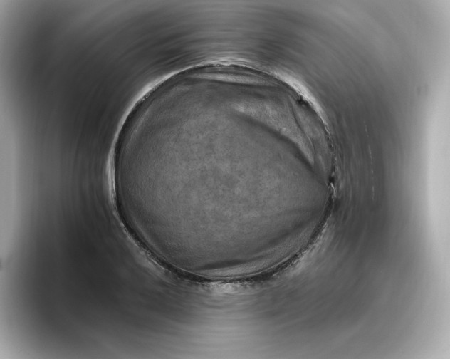 X0000096971032200802221358