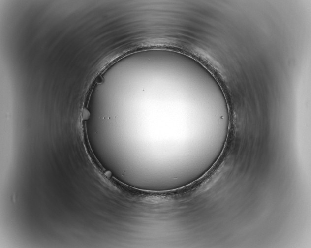 X0000096971033200802221358