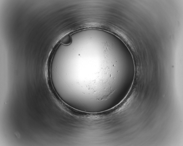 X0000096971034200802221358