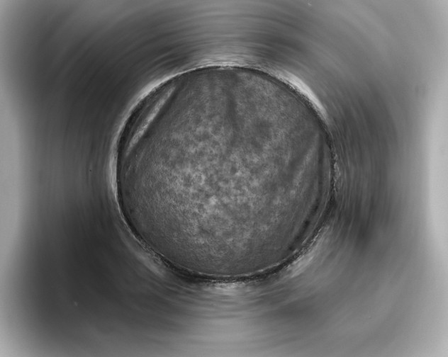 X0000096971035200802221358