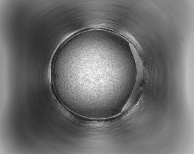 X0000096971036200802221358