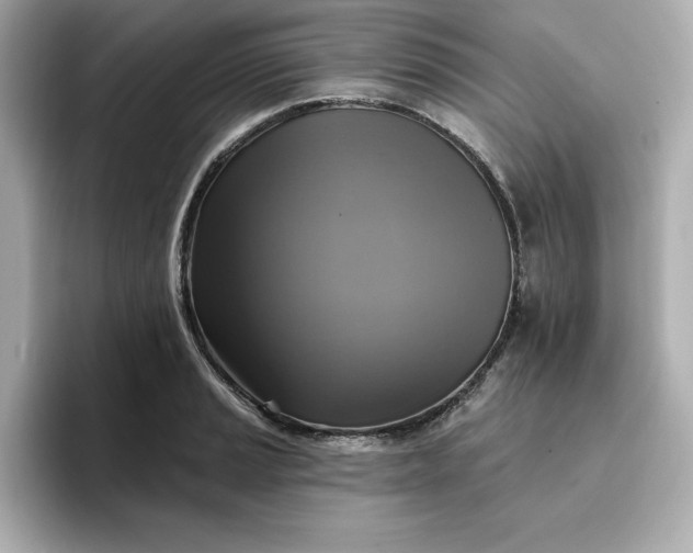 X0000096971037200802221358