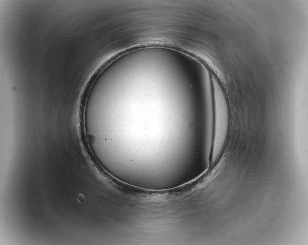 X0000096971038200802221358