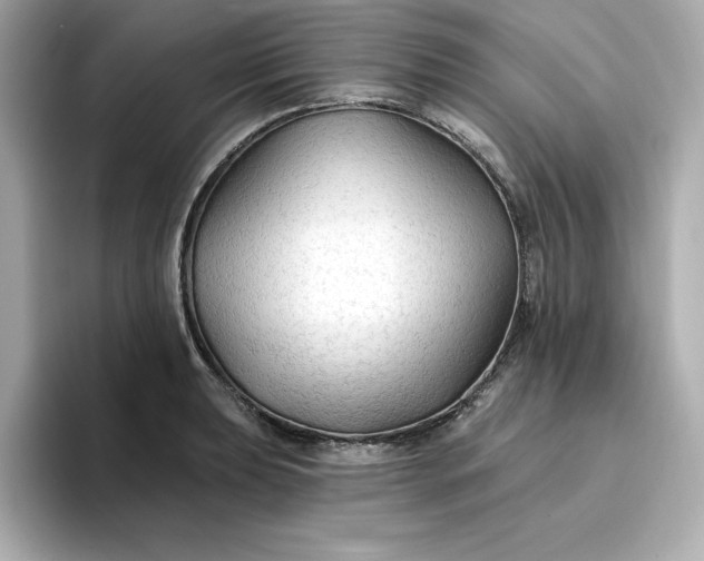 X0000096971039200802221358