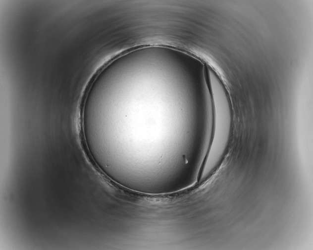 X0000096971040200802221358