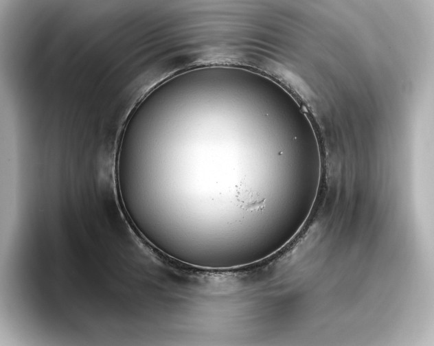 X0000096971041200802221358