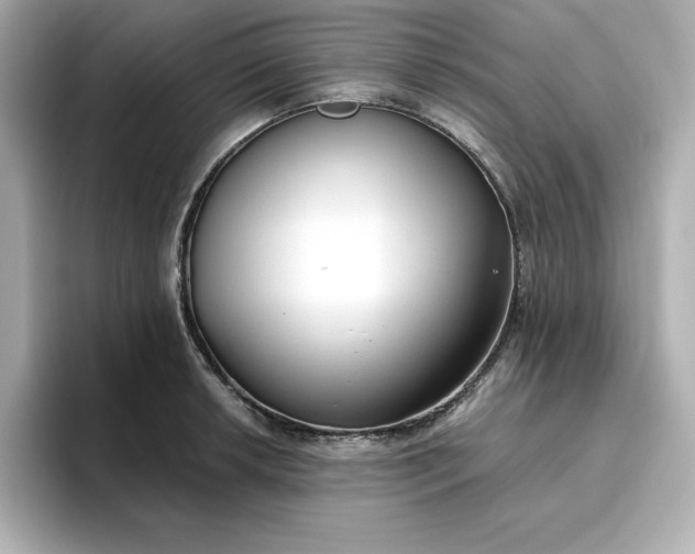 X0000096971042200802221358